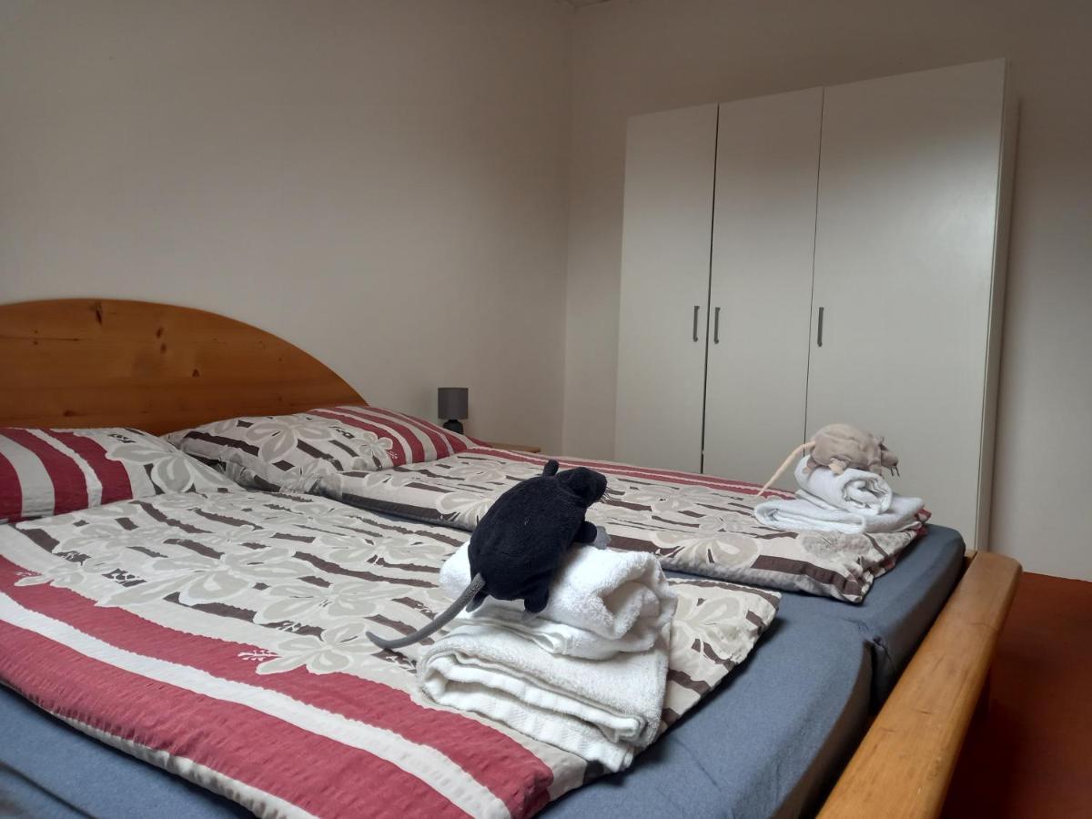 Mysi V Bote Lipno Apartment Lipno nad Vltavou Ngoại thất bức ảnh